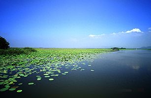 山东、江苏、安徽、河南四省发布南四湖流域水污染物综合排放标准